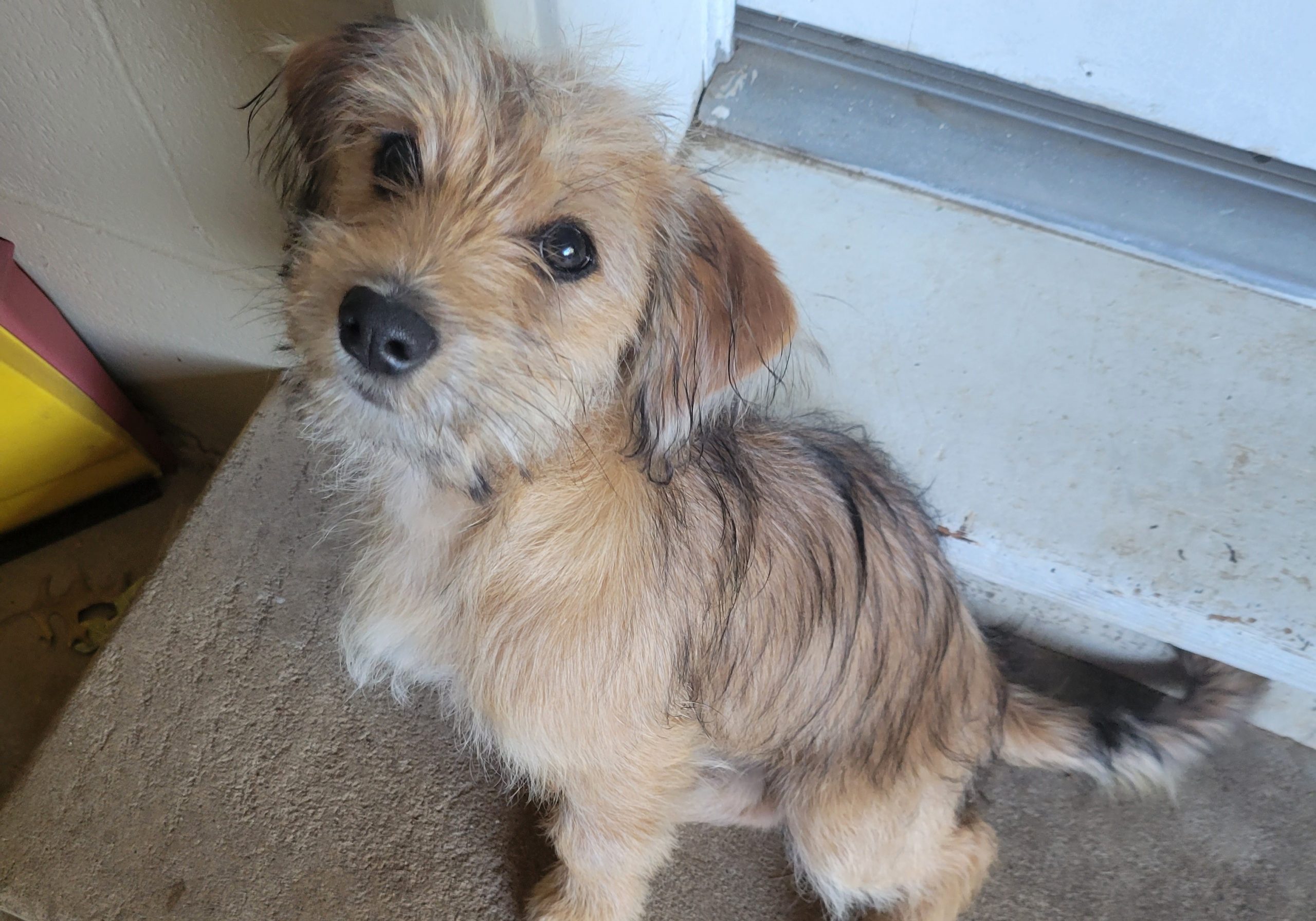 dorothy walsh website